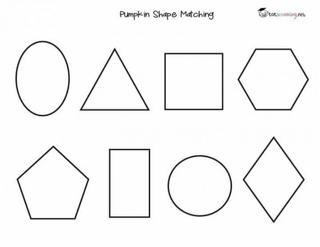 43133234_1694052584034398_196193534850629632_n